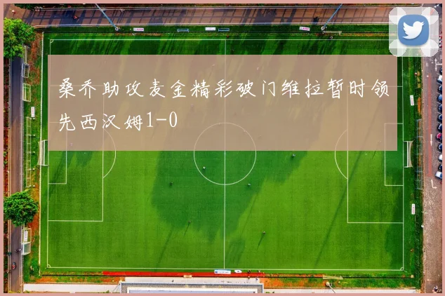 桑乔助攻麦金精彩破门维拉暂时领先西汉姆1-0